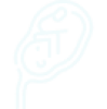 Gynaecology